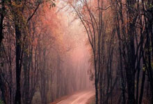 [英超]百年红蓝恩怨 平局未完待续.