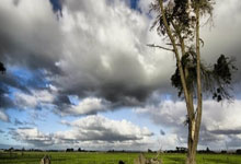 海星体育官网：久保建英：进球时脑子一片空白；在主场晋级世界杯感到安心.