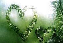 海星体育官网：雄安talk｜近距离见证“足球自由.